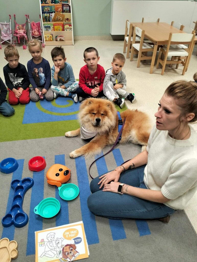 dogoterapia żłobek katowice